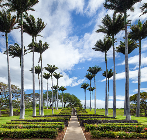 The Westin Hapuna Beach Resort Black Friday Deal